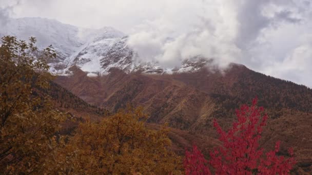 Majestic autunno colori paesaggio — Video Stock