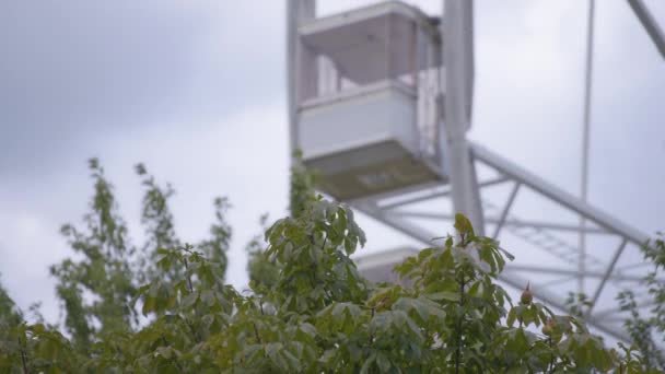 Arbustos verdes y rueda de hurón giratoria — Vídeos de Stock