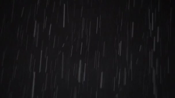 Echter Regen in der Nacht — Stockvideo