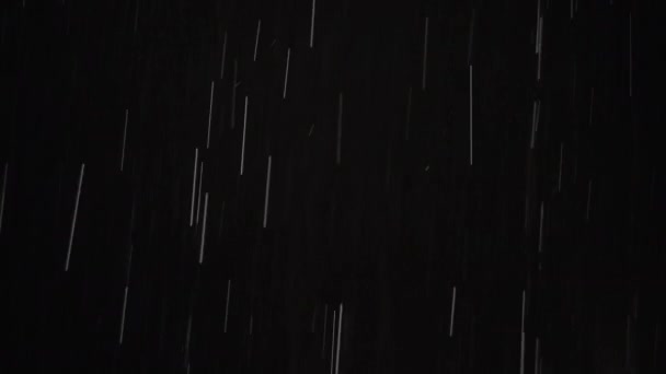 Gotas de lluvia reales cayendo en la oscuridad — Vídeo de stock