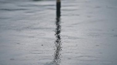 Göl yüzeyinde yağmur damlaları