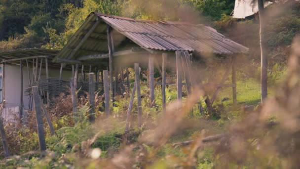 Trä trasigt hus i skogen — Stockvideo