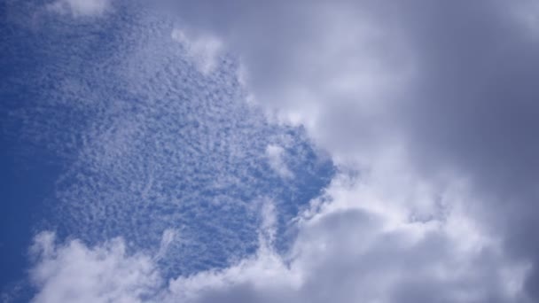 Fehér felhők a kék ég háttér — Stock videók
