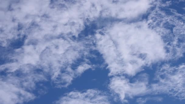 Nuages stratus dans le ciel — Video