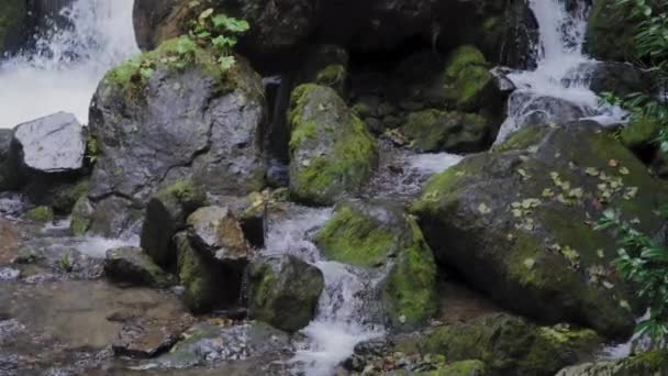 Hegyi folyó és vízesés — Stock videók
