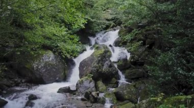 Ağaçlar ve taşlar arasında şelale