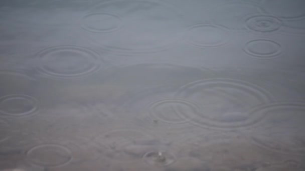 Зрізані краплі дощу в озері — стокове відео