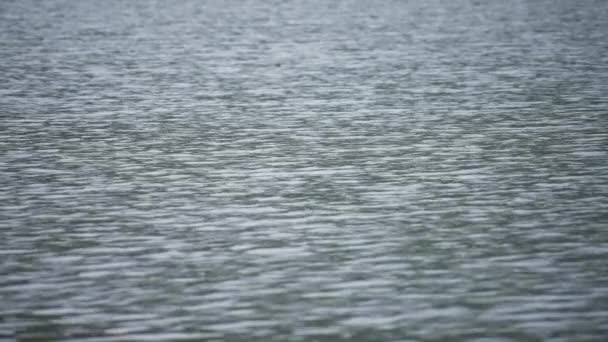 Hintergrund der Wasseroberfläche des Sees — Stockvideo