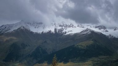 Fırtınalı gri bulutlarla kaplı karlı dağ zirvelerinin dramatik manzarası. Çam ağaçlarının arasından geçiyor. Ağır çekim, ağır çekim.. 