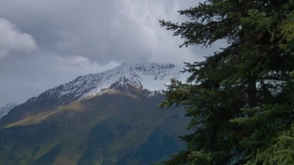 Krásný Výhled Vysoké Zasněžené Vrcholky Hor Při Pohybu Borovým Lesem — Stock video