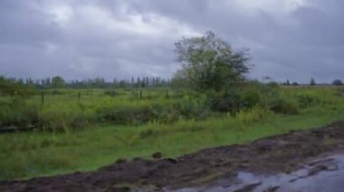 Fırtınalı bir günde kırsal kesimde araba sürmek. 