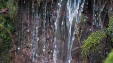Yağmur ormanındaki bir kayadan düşen su. Yavaş çekim. 