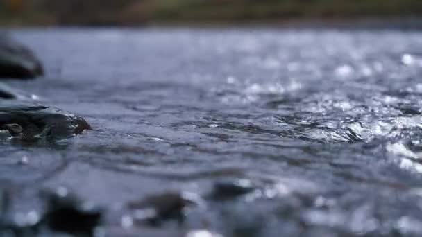 Bergkreek Waterstroom Loopt Door Stenen Langzame Beweging — Stockvideo