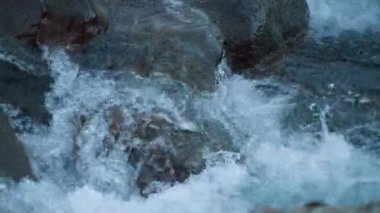 Kayaların ve kayaların arasından akan vahşi bir dağ nehrinin yakınında. Yavaş çekim. 