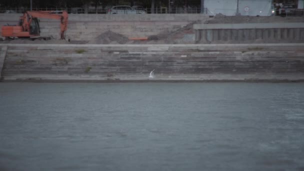 Een Enkele Meeuw Die Boven Het Donauoppervlak Vliegt Bouwplaats Achtergrond — Stockvideo