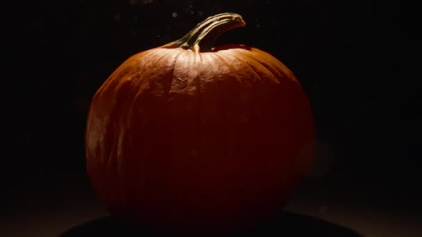 Lukning Små Støvpartikler Omkring Halloween Græskar Sort Baggrund Langsom Bevægelse – Stock-video