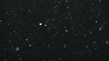 Beyaz toz parçacıkları siyah arka planda havada yüzüyor. Yavaş çekim. 