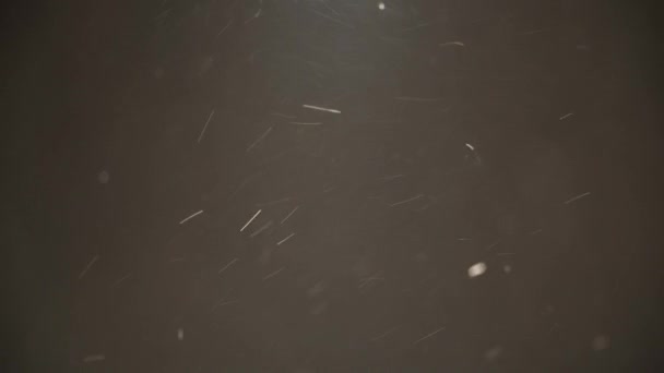 Soyut Kar Tanecikleri Havada Hızla Süzülüyor — Stok video