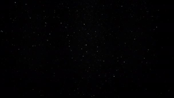 Siyah Zeminde Yüzen Gerçek Toz Parçacıkları Yavaş Çekim — Stok video