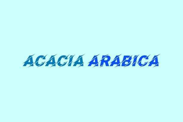 Acacia Arabica Élément Médicinal Typographie Texte Vectoriel Design Affiche Conceptuelle — Image vectorielle
