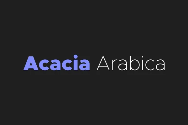 Acacia Arabica Élément Médicinal Typographie Texte Vectoriel Design Affiche Conceptuelle — Image vectorielle
