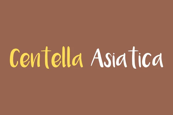 Centella Asiatica Élément Médicinal Typographie Texte Vectoriel Design Affiche Conceptuelle — Image vectorielle
