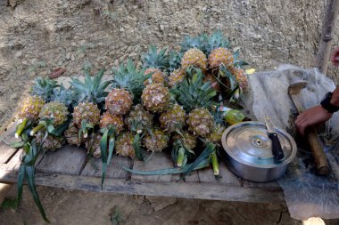 Tepe arazisinde ananas meyveleri. Tepe yolunda tropik meyve. Ananas hasadı..