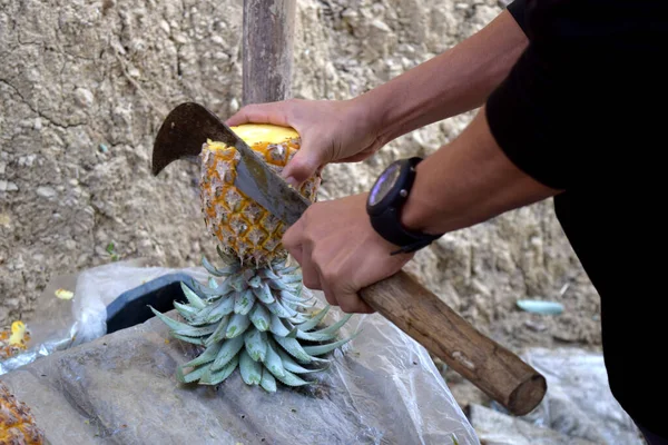 Cutting the pineapple with a sharp knife. Healthy Fruit for human health. Tropical fruit in hill tract. Hil tract pineapple harvest.