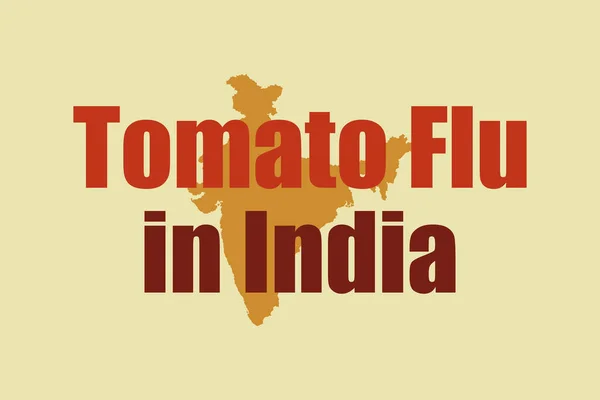 Tomato Flu India Typography India Map Vector Design Red Text — Vetor de Stock