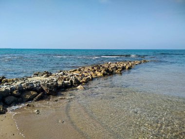 Yazın deniz kıyısında ve sahilde