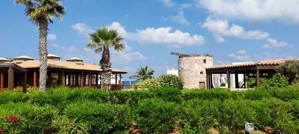 Palm tree and palms, Crete, Greece. Typical houses in a small Mediterranean village.