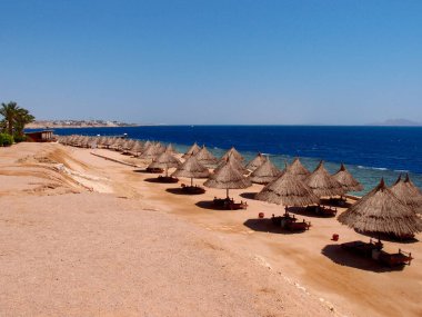 Yazın sahil ve deniz. Sahilde kum tepeleri ve şemsiyeler.