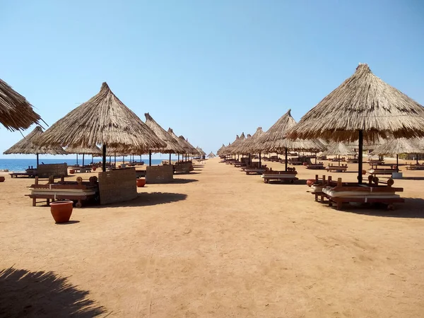 Chairs Umbrellas Empty Sandy Beach Beautiful View Deserted Beach —  Fotos de Stock