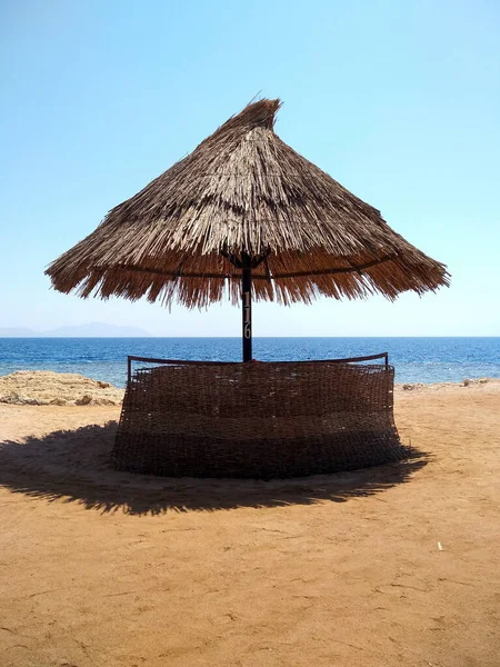 Пляжный Зонтик Берегу Моря — стоковое фото