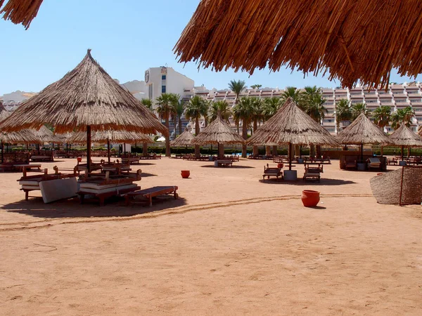 Beautiful Beach Palm Trees Umbrellas Egypt — Φωτογραφία Αρχείου