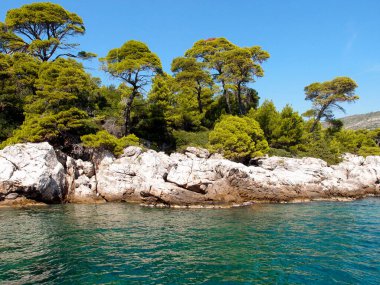 Adanın kayalık kıyılarının güzel manzarası. Arkasında orman ve mavi gökyüzü var. Denizden bir manzara.