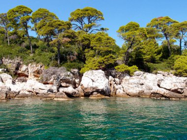 Adanın kayalık kıyılarının güzel manzarası. Arkasında orman ve mavi gökyüzü var. Denizden bir manzara.