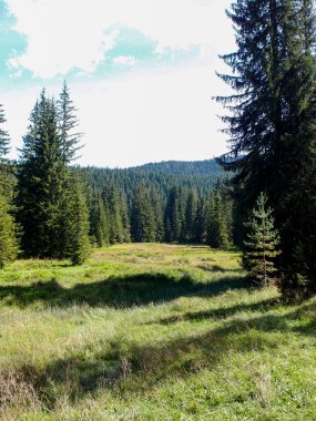 Manzaralı dağ manzarası, orman manzarası, yeşil ağaçlar, dağlar ve mavi gökyüzü.