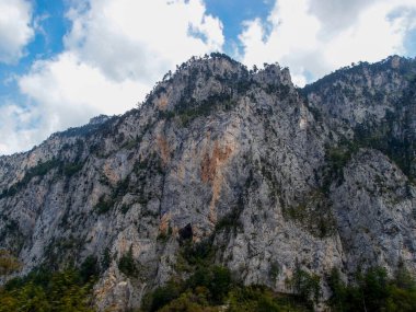 Manzaralı dağ manzarası, orman manzarası, yeşil ağaçlar, dağlar ve mavi gökyüzü.