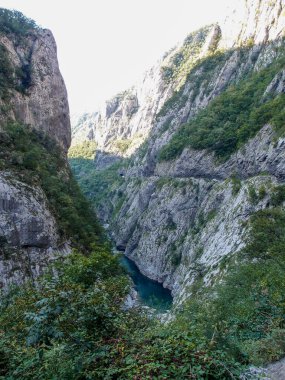 Scenic mountain landscape, view of the mountain river canyon with the forest, green trees, mountains, and blue sky