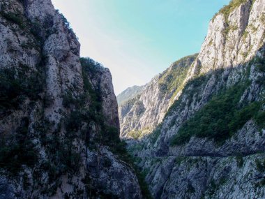 Scenic mountain landscape, view of the mountain river canyon with the forest, green trees, mountains, and blue sky