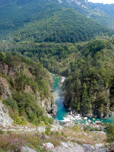 Scenic Mountain Landscape View Mountain River Canyon Forest Green Trees —  Fotos de Stock