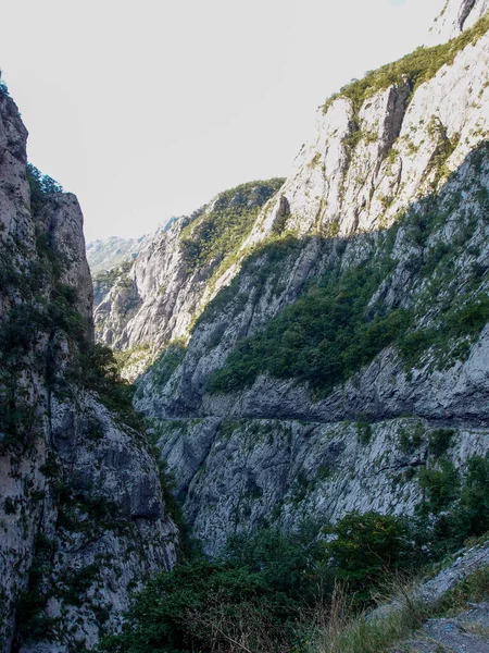 Scenic Mountain Landscape View Mountain River Canyon Forest Green Trees — Fotografia de Stock