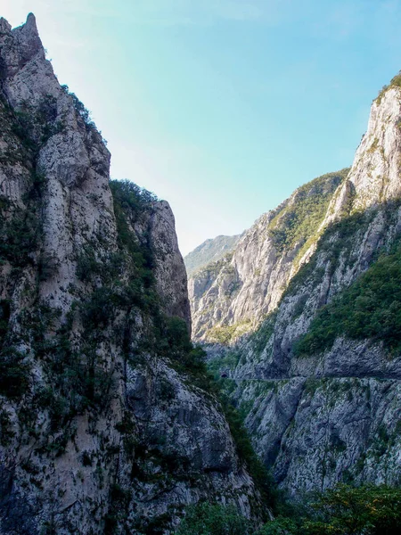 Scenic Mountain Landscape View Mountain River Canyon Forest Green Trees — Stock fotografie