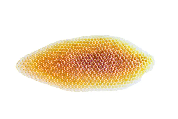 Шматок Бджолиного Воску Наповнений Медом — стокове фото