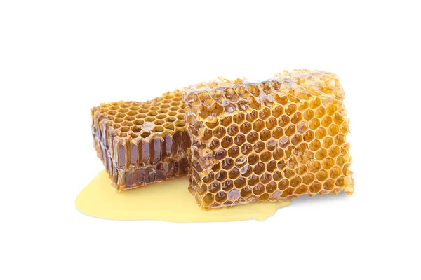 Two Pieces Beeswax Honey Spilled Honey White Background — Fotografia de Stock