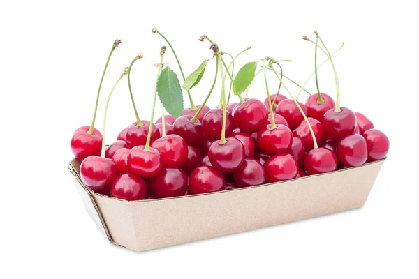 Container Ripe Sweet Cherries White Background — Zdjęcie stockowe