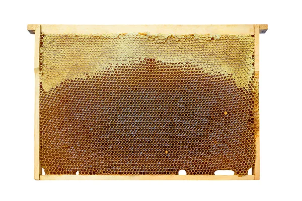 Пчелиная Рама Наполовину Запечатана Воском Рама Изолирована — стоковое фото