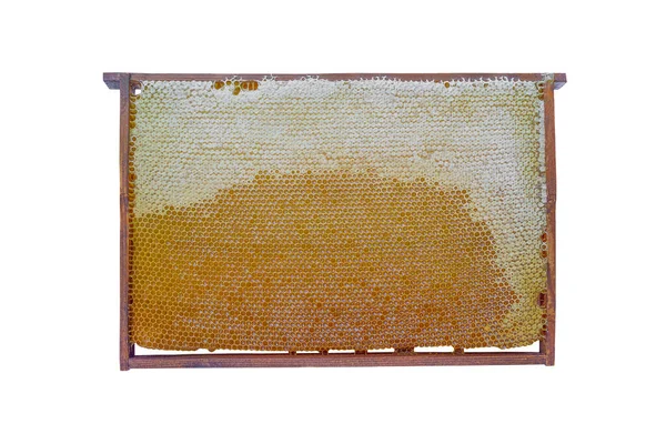the isolate of a bee frame is filled with honey