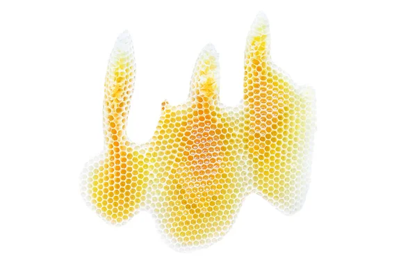 Wax Isolate Filled Honey — Foto de Stock
